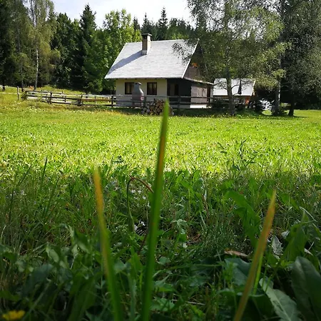 Pocitniska Hiska Na Uskovnici Bohinj