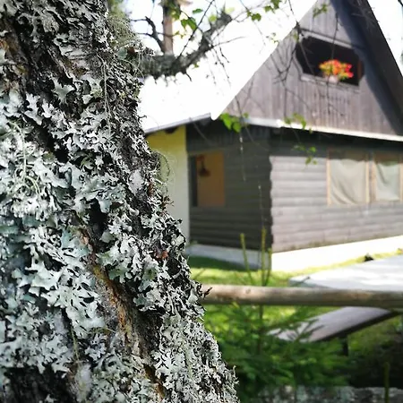 Pocitniska Hiska Na Uskovnici Casa vacanze *