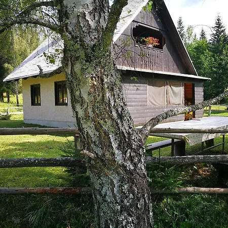 Casa vacanze Pocitniska Hiska Na Uskovnici Bohinj