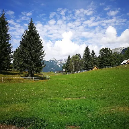 Pocitniska Hiska Na Uskovnici Casa vacanze