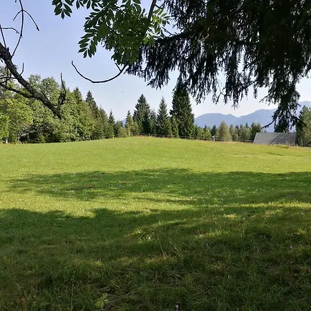 Pocitniska Hiska Na Uskovnici Casa vacanze *