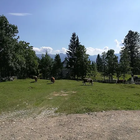 Pocitniska Hiska Na Uskovnici Holiday home *
