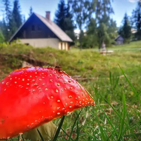 Pocitniska Hiska Na Uskovnici * Bohinj