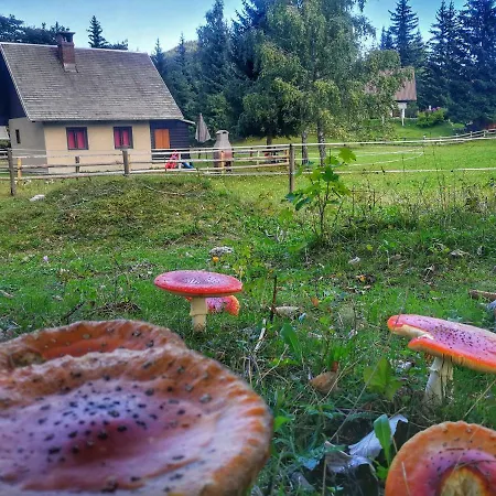 Pocitniska Hiska Na Uskovnici Casa vacanze Bohinj