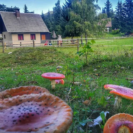 Pocitniska Hiska Na Uskovnici Holiday home Bohinj